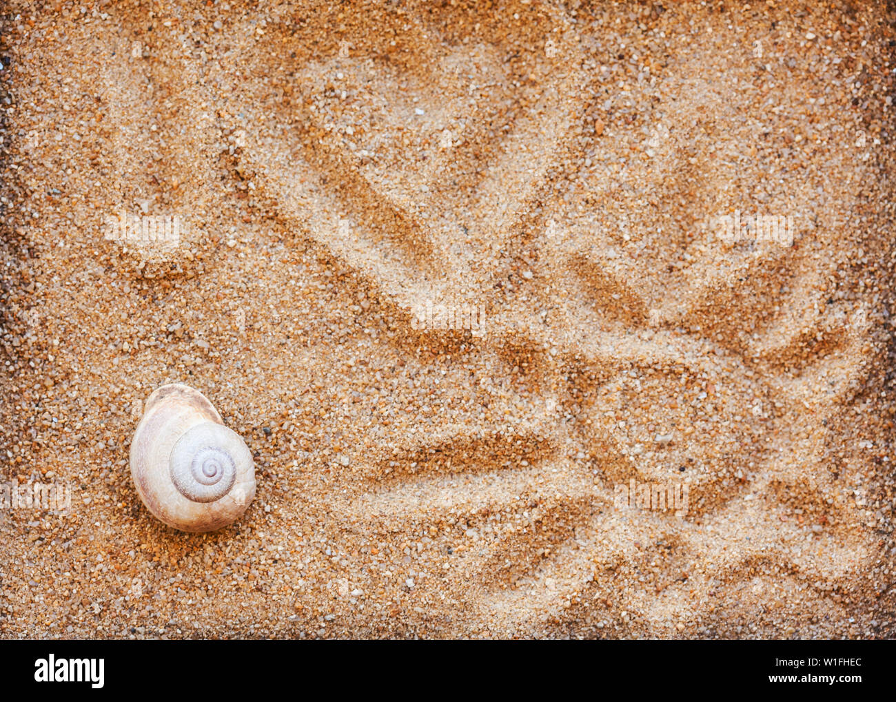 Coquillages de mer avec du sable comme arrière-plan et concept de vacances - j'aime le soleil Banque D'Images