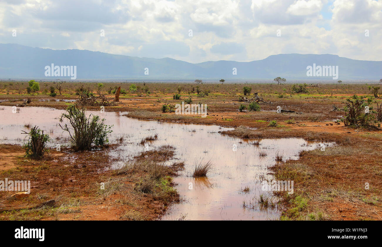 Vue paysage de l'Est de Tsavo National Park, Kenya, Africa Banque D'Images