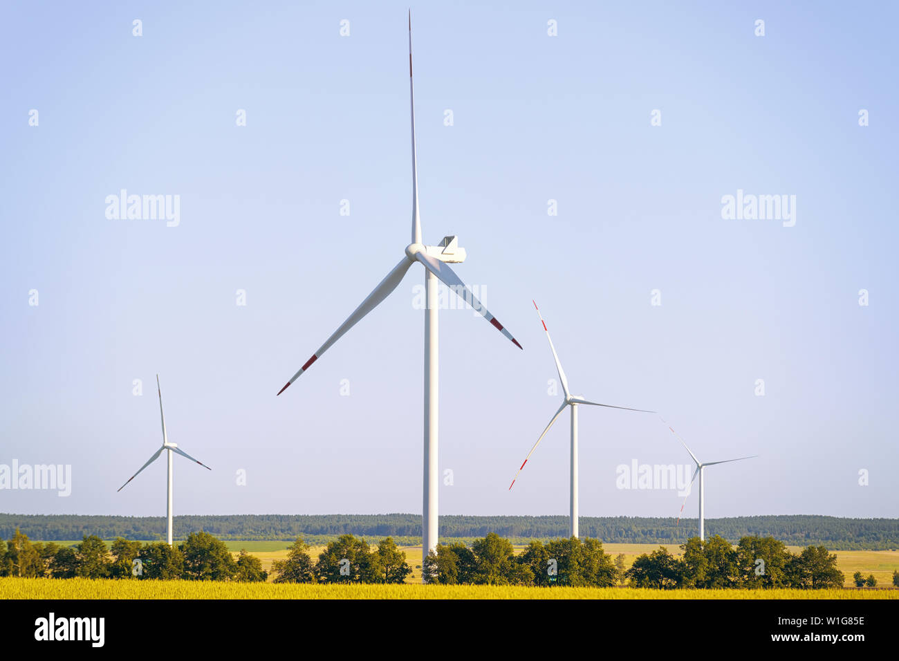 Éolienne de paysage dans le champ vert forêt lointaine et voir à soir d'été Banque D'Images