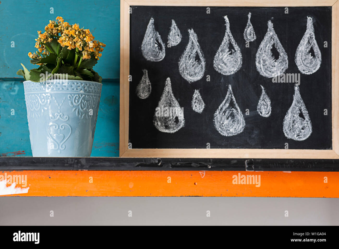 Image créative de fleurs jaunes en pot avec fond bleu avec l'illustre des conseils sur des plantes à la craie sur un tableau noir. Banque D'Images