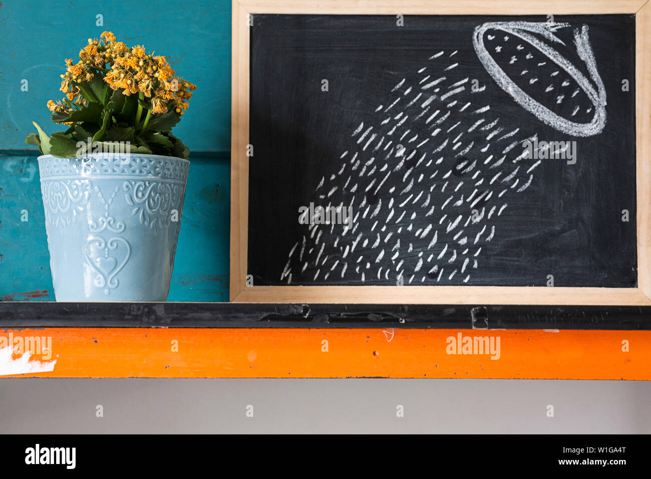 Image créative de fleurs jaunes en pot avec fond bleu avec l'illustre des conseils sur des plantes à la craie sur un tableau noir. Banque D'Images