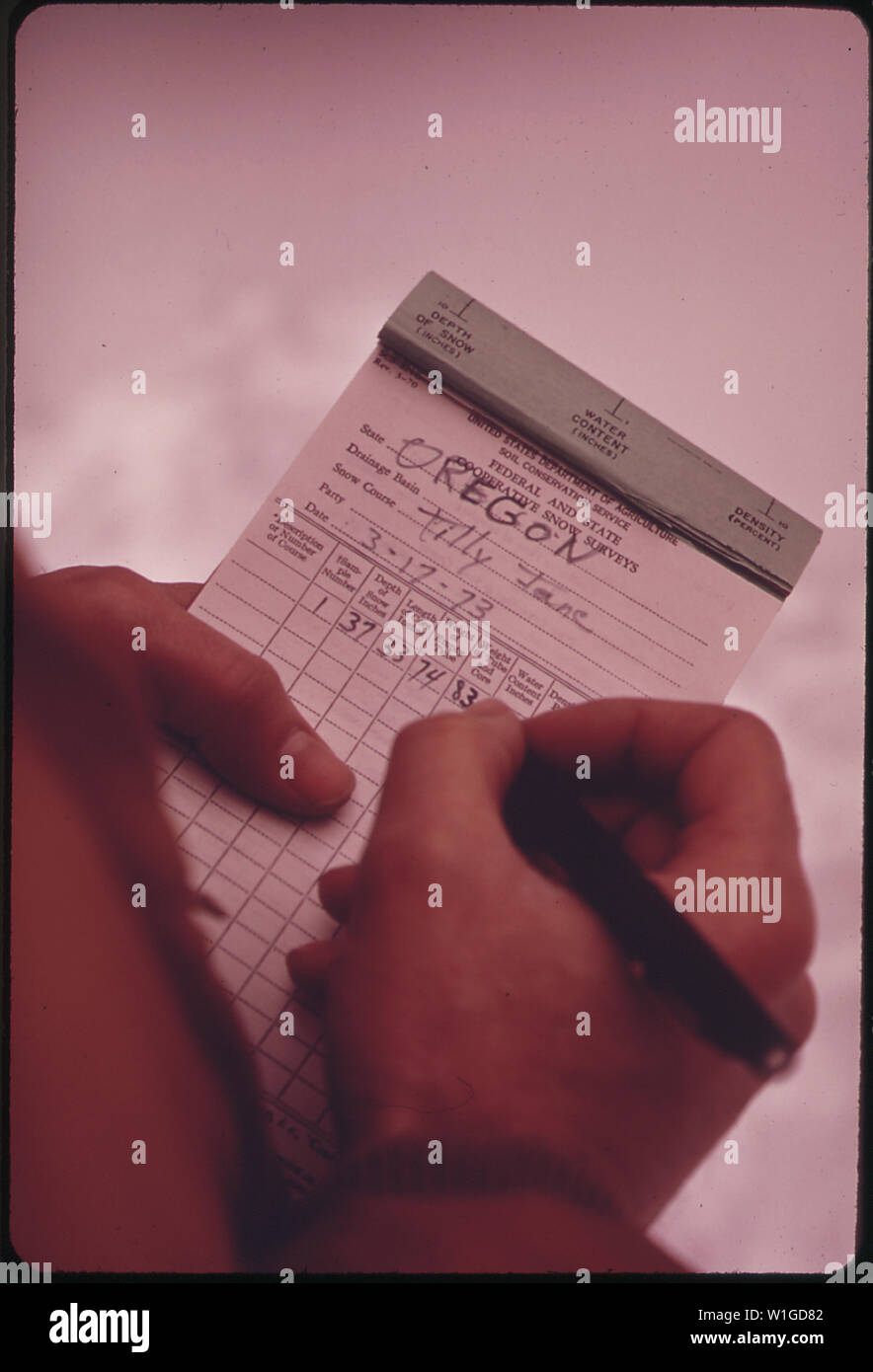 Membre du Club des montagnards DES RATS DE L'OREGON EN REMPLISSANT UN FORMULAIRE DE SONDAGE SUR LA NEIGE POUR LE SERVICE DE CONSERVATION DES SOLS. Sondage EST EFFECTUÉ À L'TILLY JANE CAMPING SUR MT. Le capot. Les RÉSULTATS SERONT UTILISÉS POUR PRÉDIRE QUANTITÉ DE RUISSELLEMENT AU PRINTEMPS DANS LE FLEUVE COLUMBIA Banque D'Images