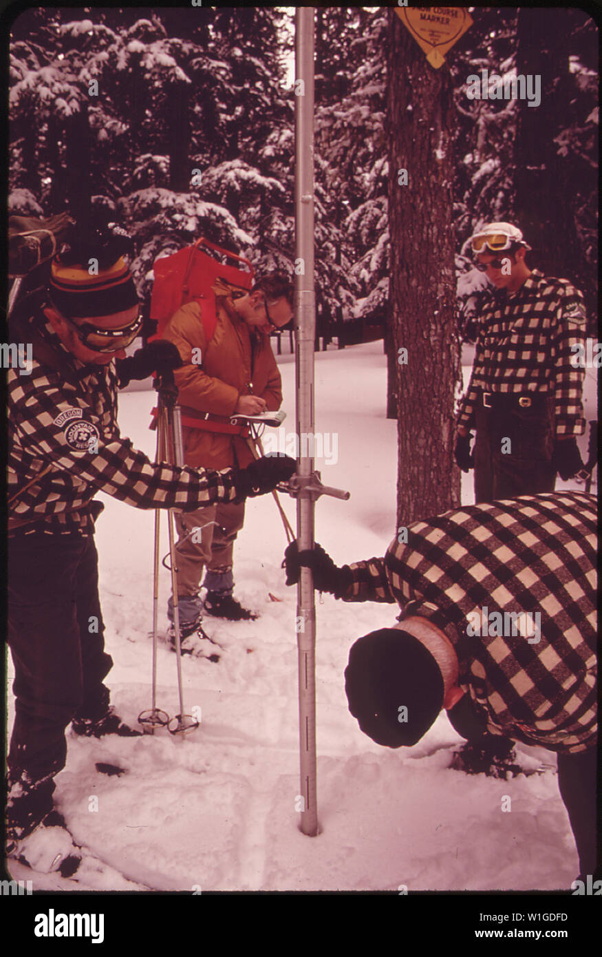 Les MEMBRES DE L'OREGON CRAG DES RATS, un club d'alpinistes basé à Hood River. Ils FONT UNE ENQUÊTE SUR LA NEIGE POUR LE SERVICE DE CONSERVATION DES SOLS. L'OBJECTIF EST DE PRÉDIRE QUANTITÉ DE RUISSELLEMENT AU PRINTEMPS DE L'EAU DANS LE FLEUVE COLUMBIA Banque D'Images