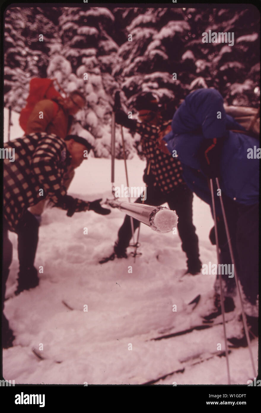 Les MEMBRES DU CLUB D'escalade de rocher LES RATS FONT DES ENQUÊTES DE LA NEIGE D'HIVER POUR LES États-unis AU SERVICE DE CONSERVATION DES SOLS TILLY JANE CAMP LA MASSE SUR LE MT. Le capot. Les autorités peuvent alors anticiper l'effet du dégel printanier sur le FLEUVE COLUMBIA Banque D'Images