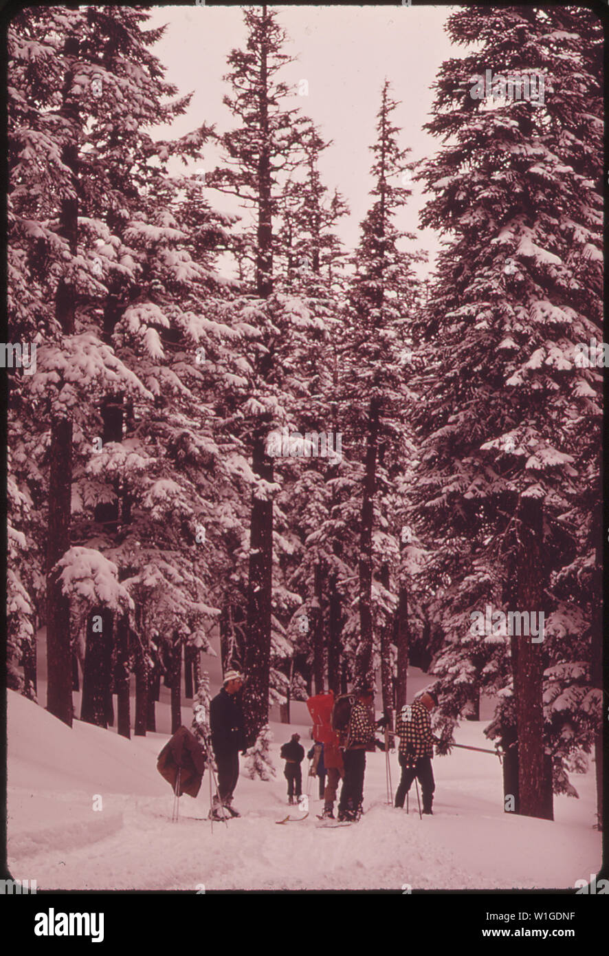 Les MEMBRES DE L'OREGON CRAG DES RATS, un club d'alpinistes basé à Hood River. Ils FONT UNE ENQUÊTE SUR LA NEIGE POUR LE SERVICE DE CONSERVATION DES SOLS. L'OBJECTIF EST DE PRÉDIRE QUANTITÉ DE RUISSELLEMENT AU PRINTEMPS DE L'EAU DANS LE FLEUVE COLUMBIA Banque D'Images