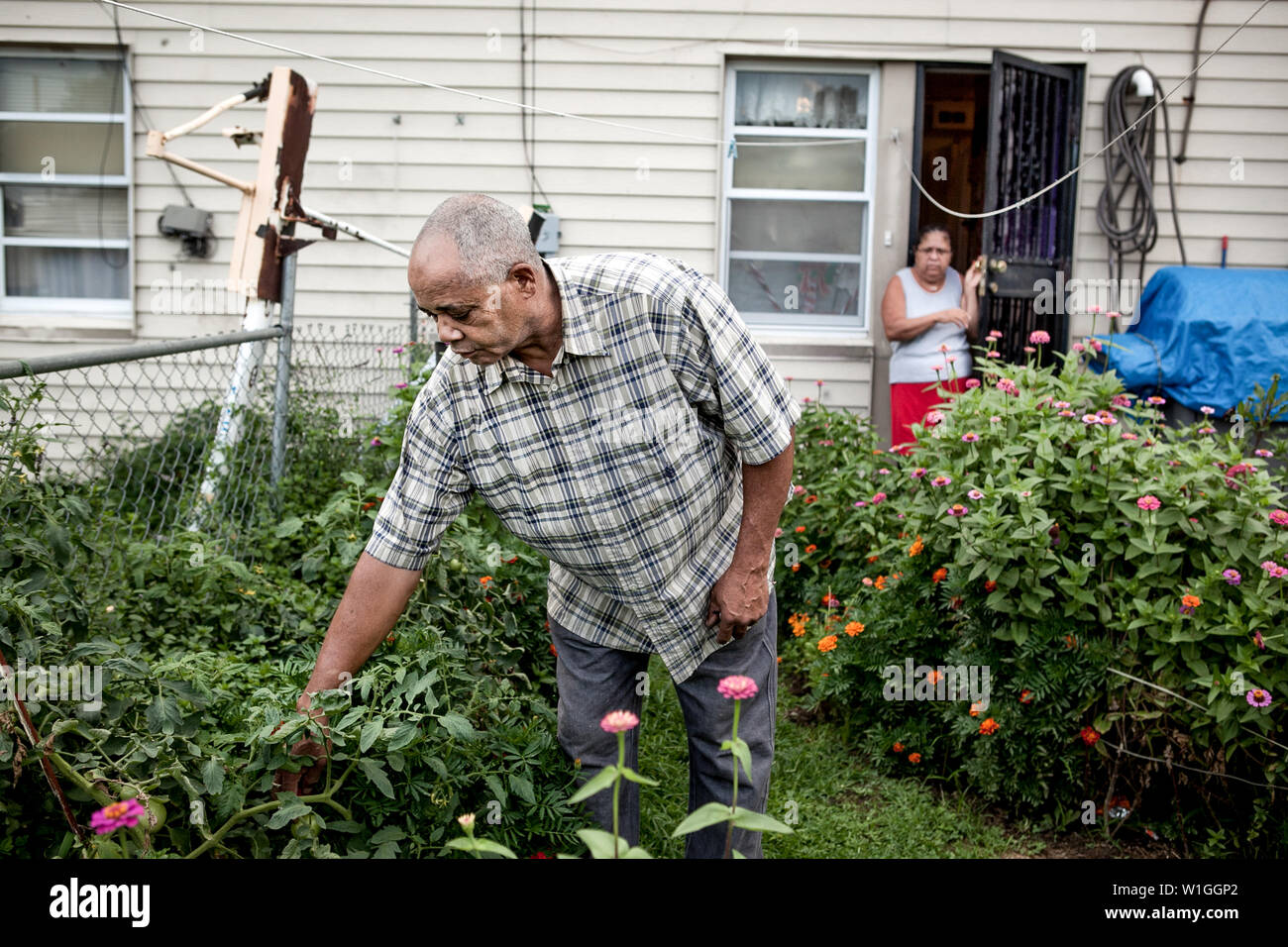 Un homme d'origine hispanique dans son jardin avec sa femme à sur Banque D'Images