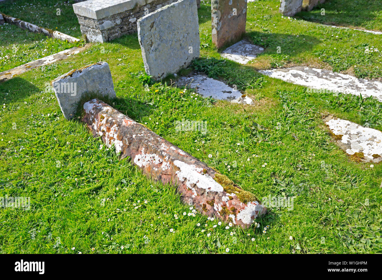 Porc scandinave Retour tombe dans le cimetière de St Boniface Papa Kirk Ecosse Westray Banque D'Images
