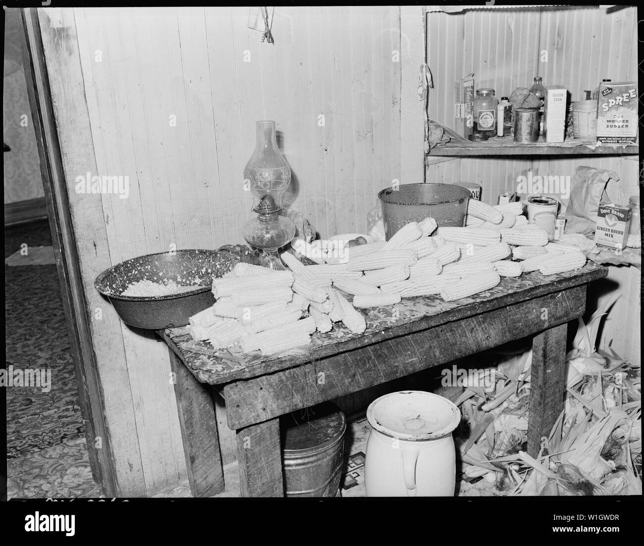 La plupart des mineurs ont de grands jardins et une grande partie de la production. Kentucky Straight Creek Coal Company, mine de Belva, abandonnés après l'explosion [EN] 31/12/1945, quatre mille, Bell County (Kentucky). Banque D'Images