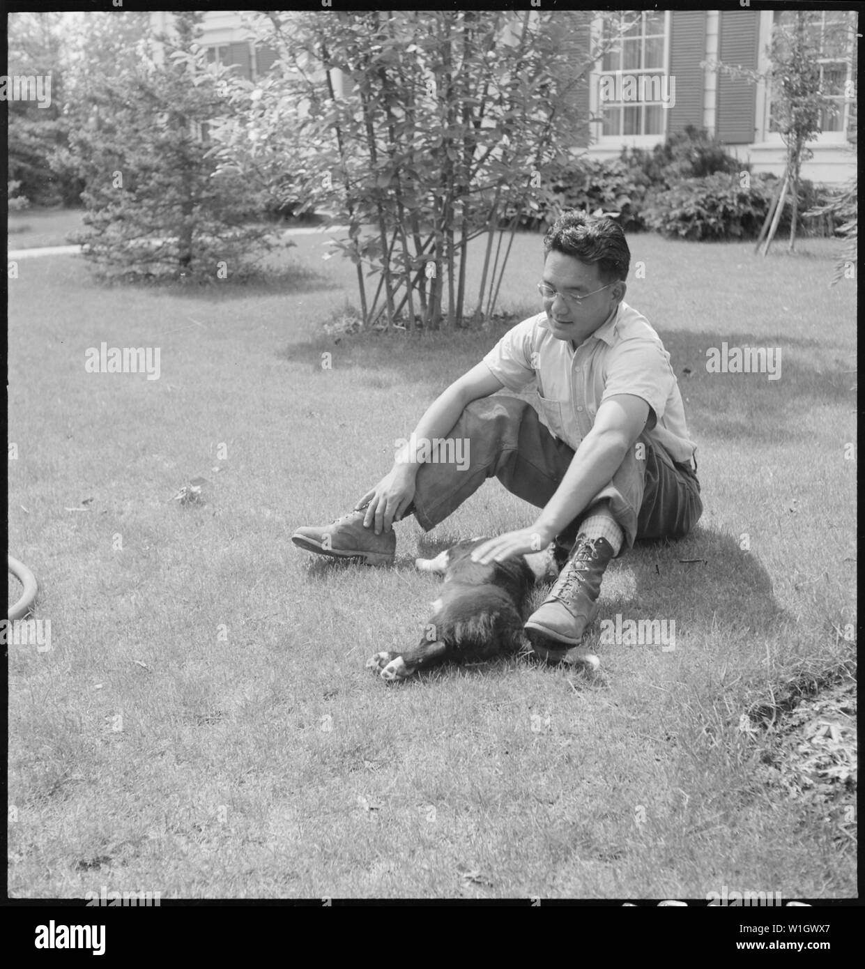 Mountain View, Californie. Fils aîné de la famille de Shibuya qui est diplômé de l'ordre de l'Agric . . . ; Portée et contenu : la légende complète pour cette photographie se lit comme suit : Mountain View, Californie. Fils aîné de la famille de Shibuya qui est diplômé de l'ordre de l'Agriculture, de l'Université de Californie, en 1939, avec un diplôme en phytopathologie. Ses parents étaient nés au Japon, étant arrivé à ce pays en 1904 avec seulement 60 $ et un panier de vêtements. Plus tard, ils ont bâti une entreprise prospère chrysanthème et expédiés vers les marchés de l'est sélectionner des variétés sous leur propre nom commercial. Banque D'Images