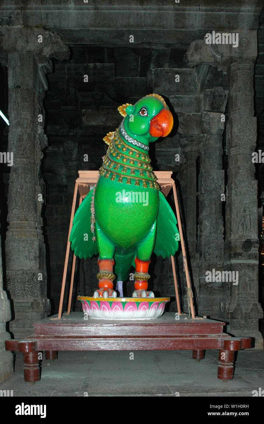 Perroquet vert statue in temple hindou, Tamil Nadu, Inde Banque D'Images