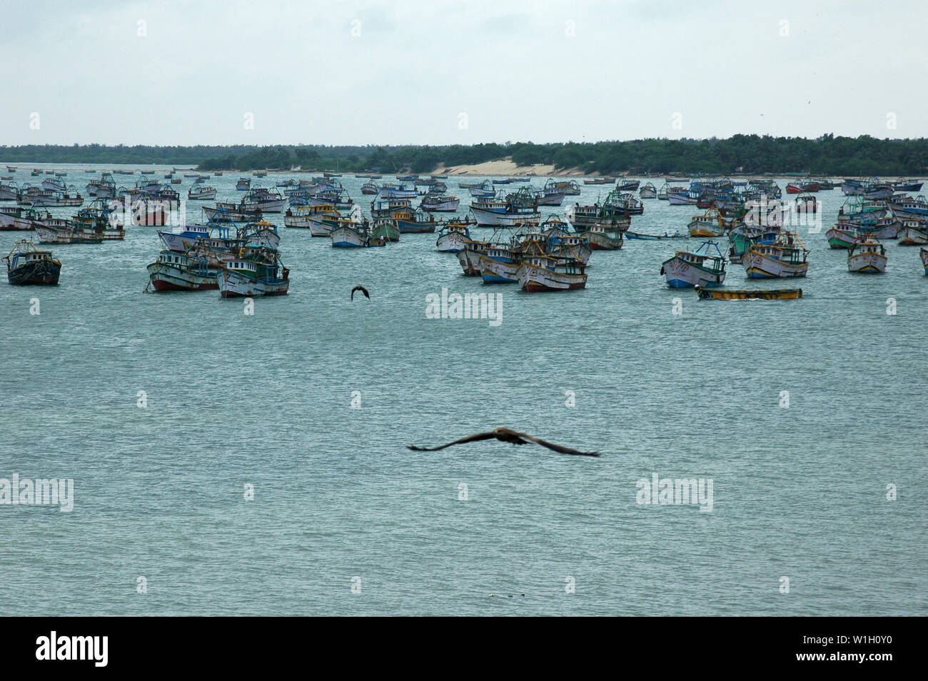 Les navires dans la mer, Rameswaram, Tamil Nadu, Inde Banque D'Images