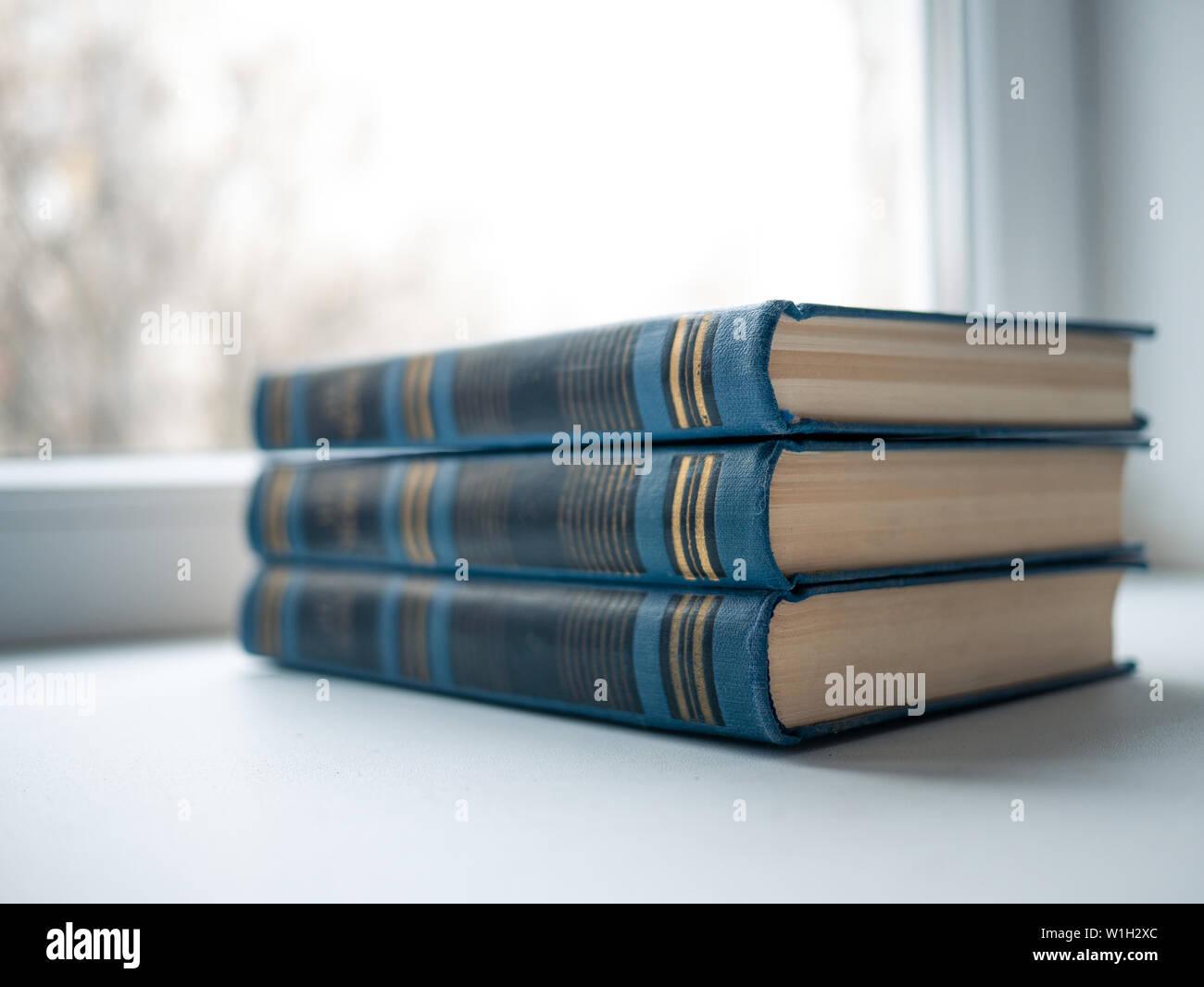 Blue Tree beaux livres fermés sur blanc fond isolé. Beaux Livres bleus. Une rangée de beaux livres bleus. pile de livres Banque D'Images