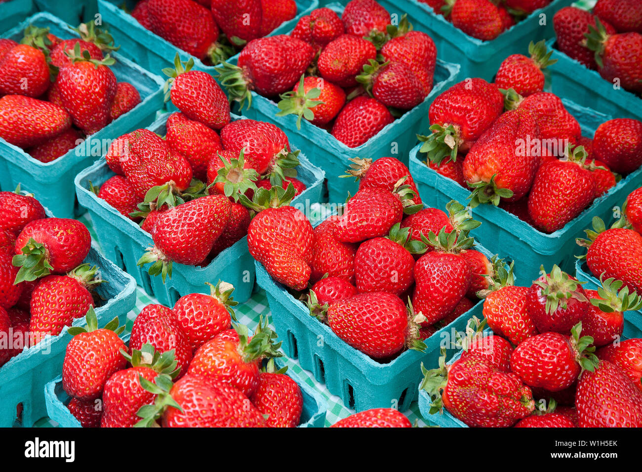 Des fraises au marché fermier de Portland à Portland State University dans l'Oregon. (C) 2012 Tom Kelly Banque D'Images
