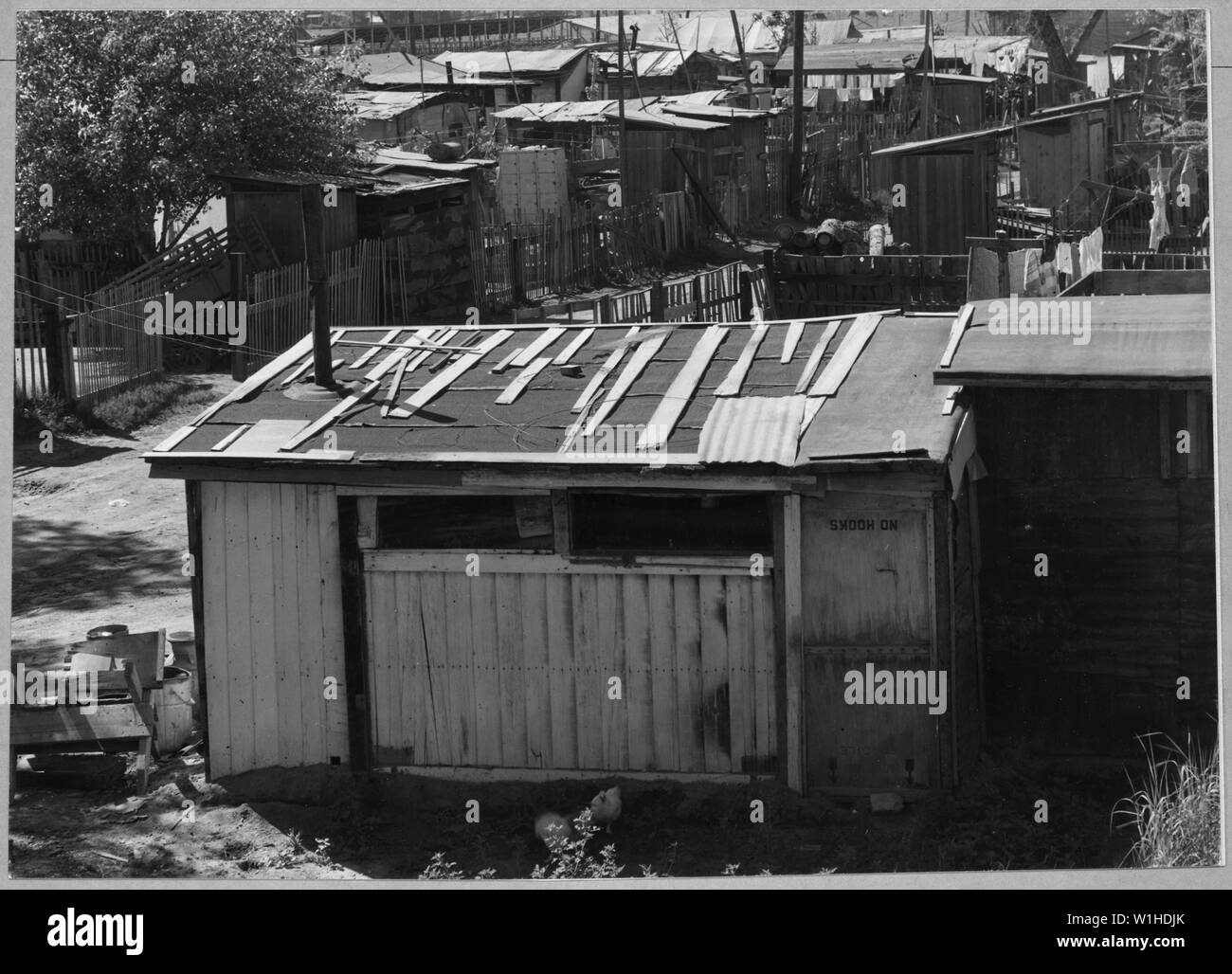 Oildale, comté de Kern, en Californie. Sur Shacktown Kern County Water Company, sous la supervision de la propriété . . . ; Portée et contenu : la légende complète se lit comme suit : Oildale, comté de Kern, en Californie. Sur Shacktown Kern County Water Company, propriété surveillée par le comté. Les familles ont construit leurs propres abris ici hors de tout ce matériel qu'ils pouvaient trouver ou acquérir. La rente foncière est libre. Banque D'Images