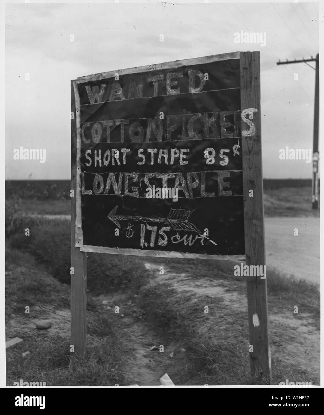 Sur l'autoroute 84, comté de Pinal, Arizona. Publicité Ranch pendant la récolte du coton. Readi panneaux routiers . . . ; Portée et contenu : la légende complète se lit comme suit : sur l'autoroute 84, comté de Pinal, Arizona. Publicité Ranch pendant la récolte du coton. La lecture des panneaux routiers cotton pickers voulait' ne sont que la dernière étape dans le processus d'attirer des travailleurs saisonniers à l'Arizona de régions aussi éloignés que Yakima Valley, Washington, et le bootheel du Missouri. Banque D'Images