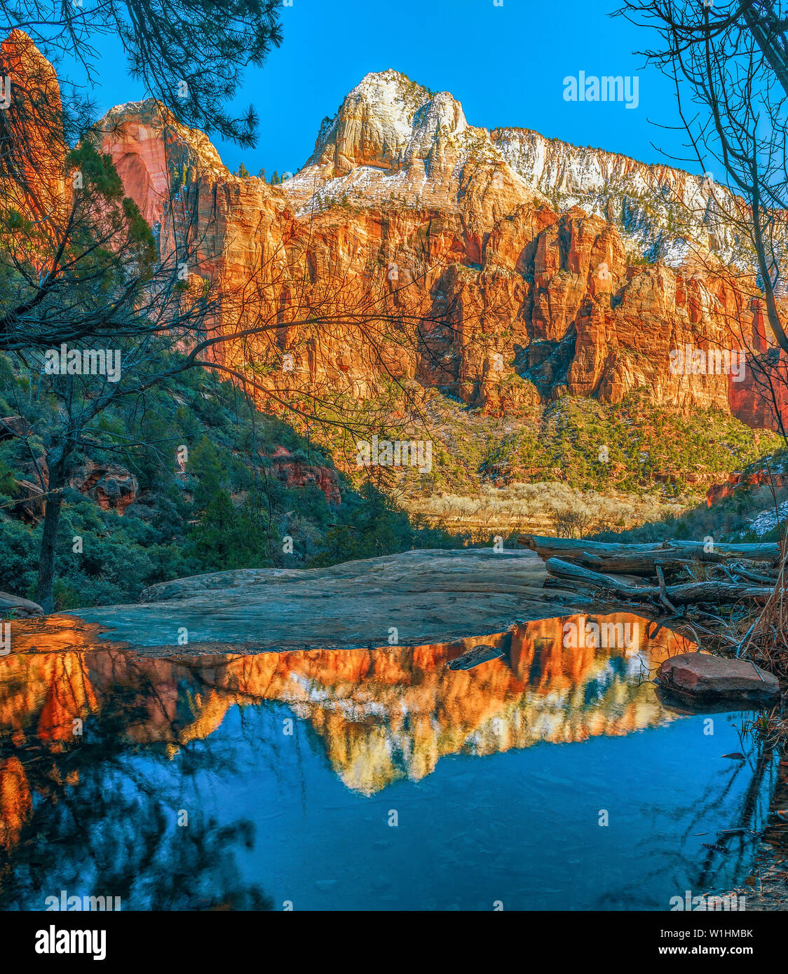 Voir et reflet de montagnes enneigées d'Emerald Pool Trail. Zion National Park. L'Utah. USA Banque D'Images