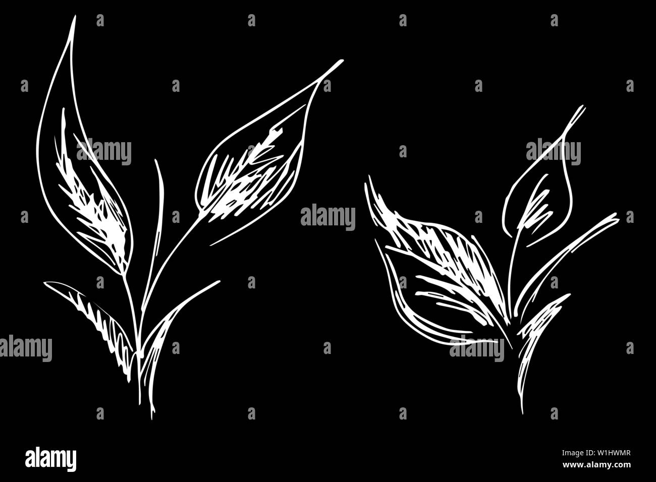 Résumé de feuilles de contours icons set isolé sur fond noir. La mode de luxe concept créatif logo icône. Hand Drawn vector illustration. Lau Illustration de Vecteur