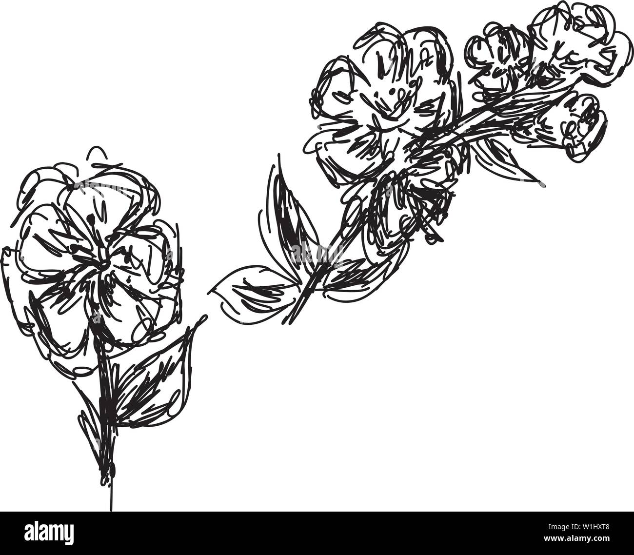 La direction générale de sakura vecteur illustration isolé sur fond blanc. Illustration vecteur de fleurs en contour noir et blanc avion sur fond blanc. Illustration de Vecteur