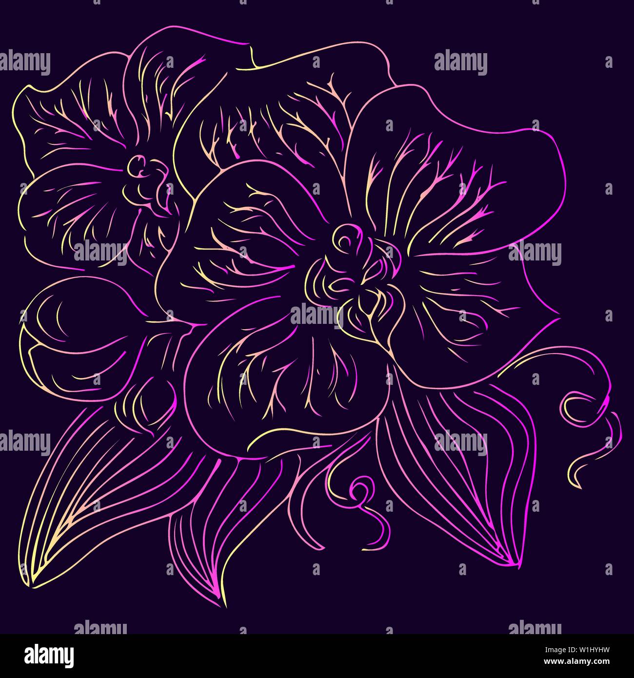 Hand Drawn Vector Illustrations d'Abstract orchidée, fleur de violette, jaune et rose Couleurs. Croquis dessinés à la main, d'une fleur Illustration de Vecteur