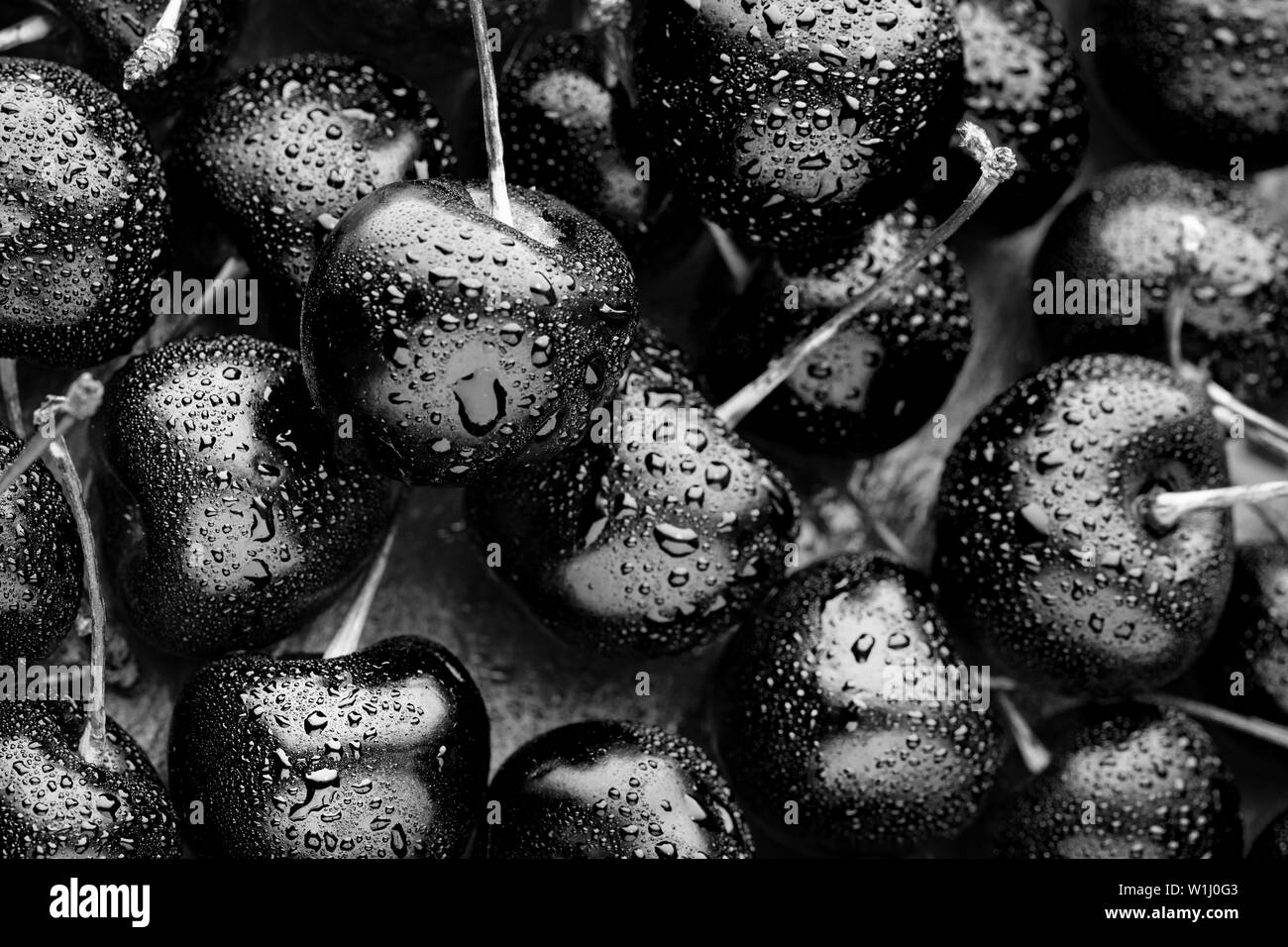 Close-up of noir brillant des cerises mûres. rare fond bleu. Grande collection de cerise noire. Banque D'Images