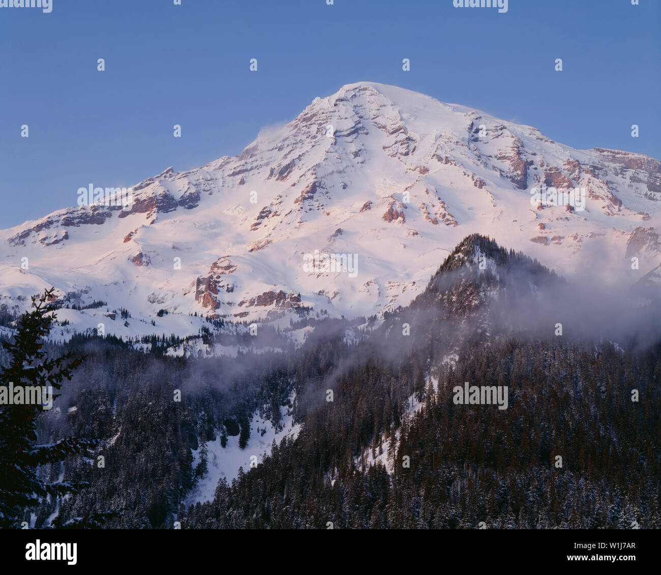 USA, Washington, Mt. Rainier National Park, lumière douce de soleil couchant sur la neige du côté sud de Mt. Des roses en hiver avec brouillard tourbillonnant sur les pentes inférieures. Banque D'Images