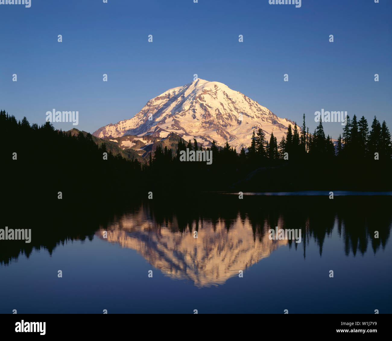 USA, Washington, Mt. Rainier National Park, coucher de la lumière sur les territoires du côté de Mt. Rainier se reflète dans le lac Eunice. Banque D'Images