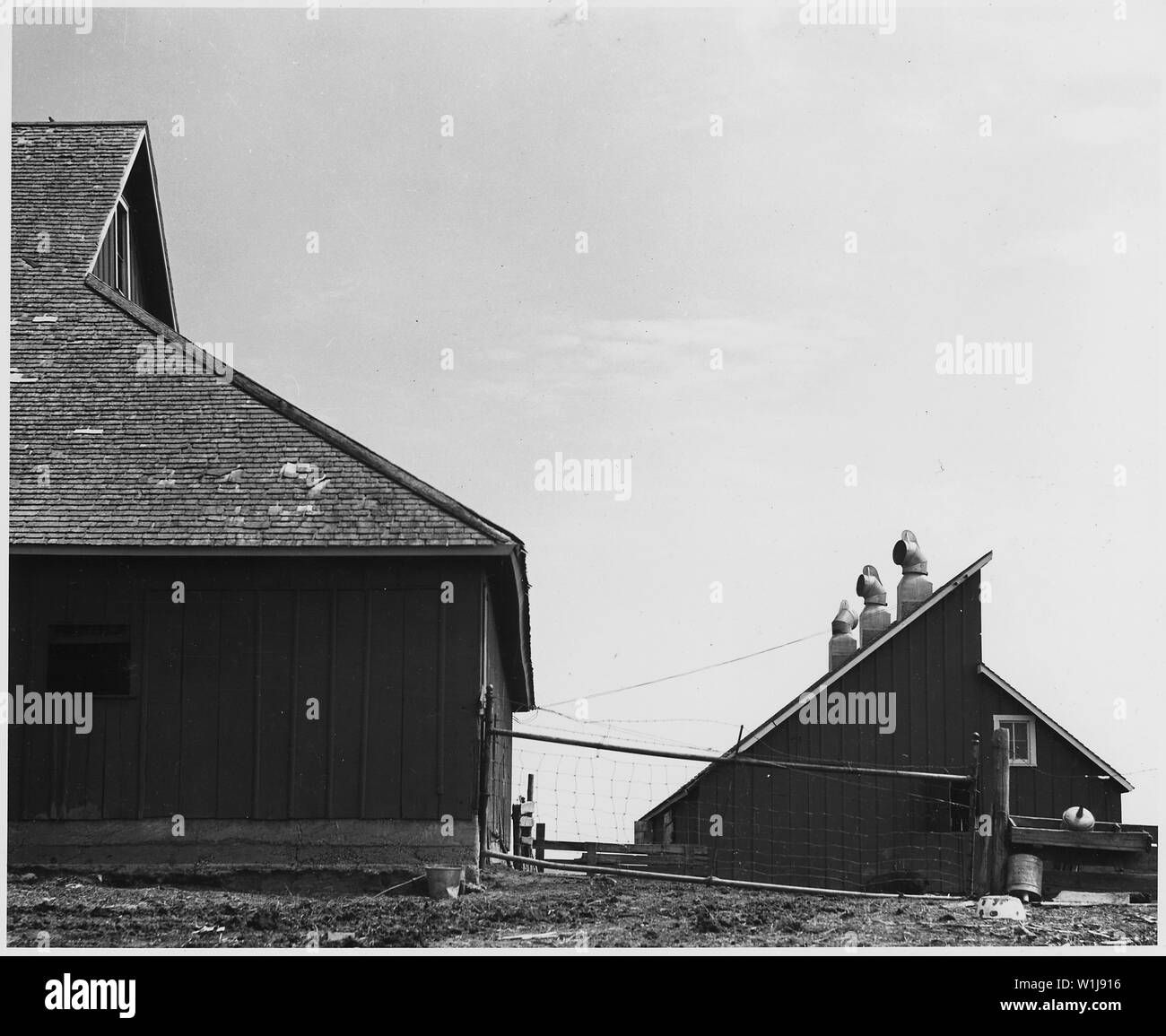 Le comté de Shelby, Iowa. Bâtiments sur une moyennes exploitées par leur propriétaire ferme. Le farrowin . Avis ventilé . . ; Portée et contenu : la légende complète se lit comme suit : le comté de Shelby, Iowa. Bâtiments sur une moyennes exploitées par leur propriétaire ferme. L'avis de mise bas ventilé faire.... C'est le meilleur type ici. Banque D'Images