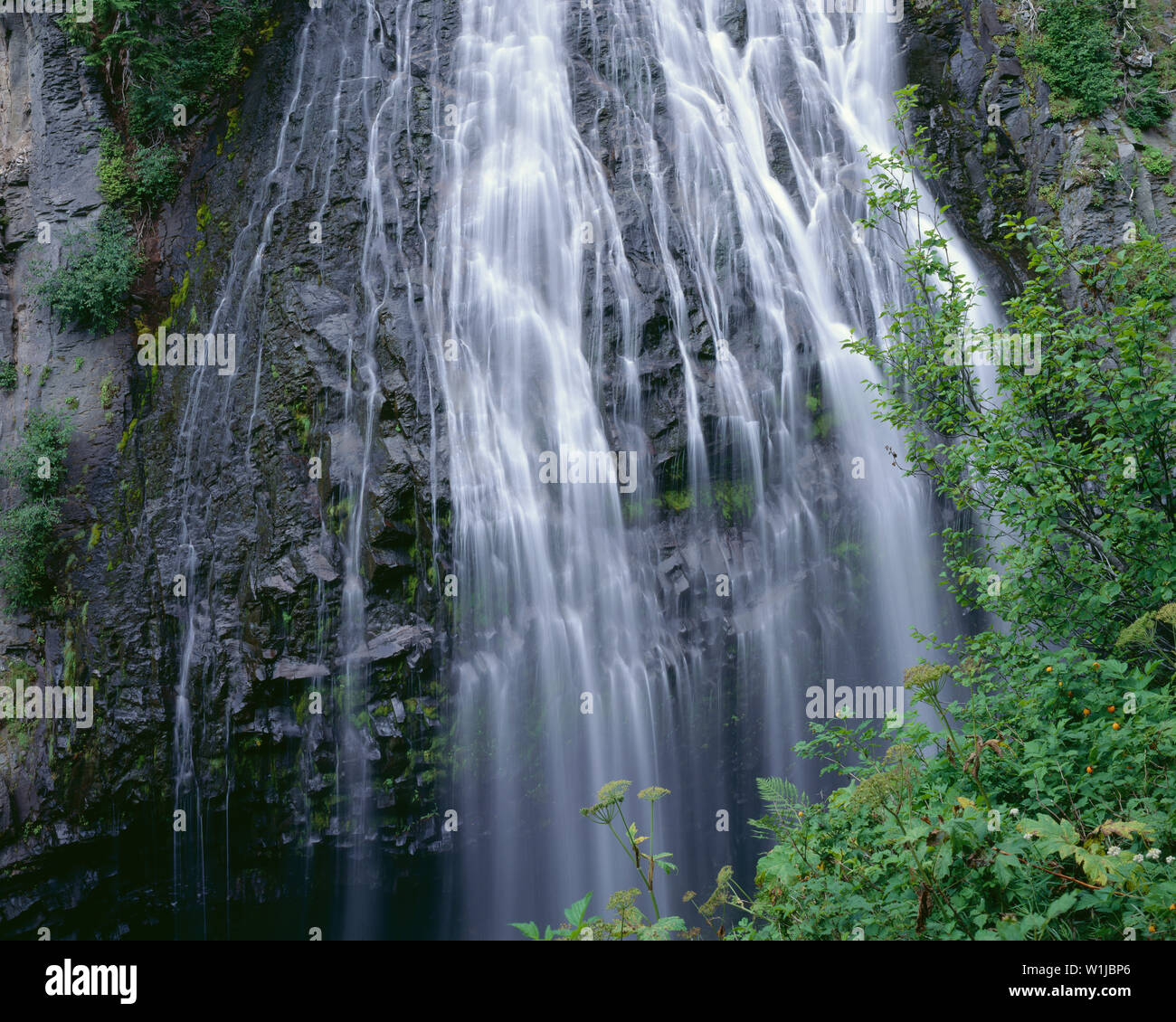 USA, Washington, Mt. Rainier National Park, Narada Falls sur la rivière Paradise. Banque D'Images