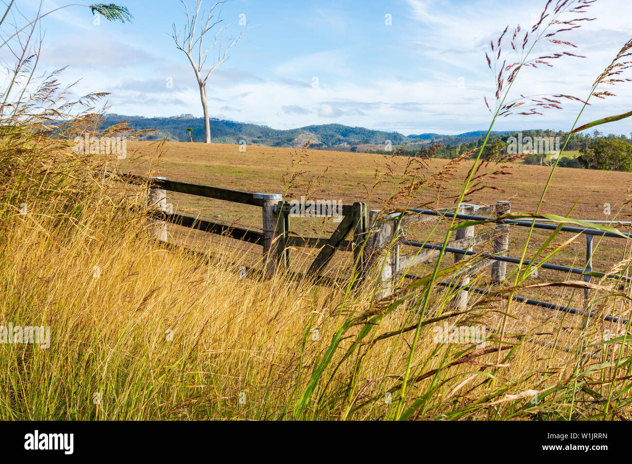 Le paysage de l'Australie rurale avec un portail et une clôture en premier plan. Banque D'Images