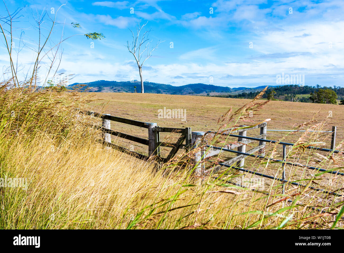 Le paysage de l'Australie rurale avec un portail et une clôture en premier plan. Banque D'Images