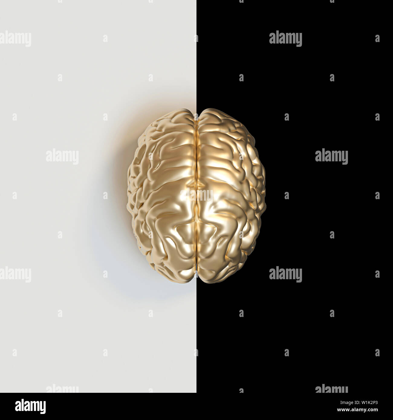 L'image de rendu 3D d'un cerveau humain de couleur or sur un fond noir et blanc. concept de visions différentes, bon et mauvais. télévision style laïcs. Banque D'Images
