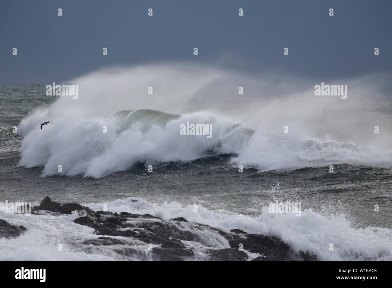 La pulvérisation de grandes vagues de vent avant la pluie et d'orage Banque D'Images