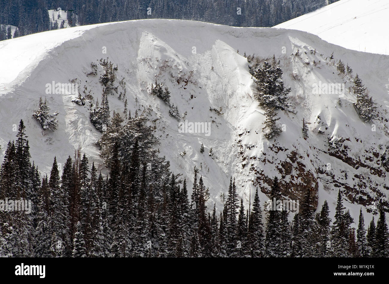 Les larges épaules de l'AVCI Chutes se tenir dehors dans Empire Canyon à Deer Valley Resort à Park City, Utah. (C) 2010 Tom Kelly Banque D'Images