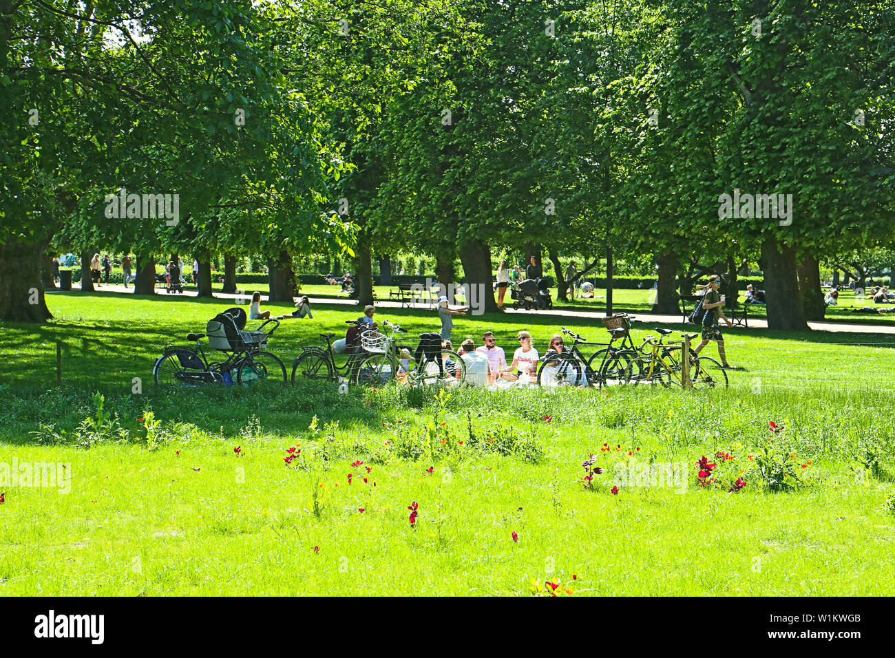 Copenhague, Danemark - 16 juin, 2019 Très belle vue sur le jardin du roi près de Rosenborg Castle dans le centre de Copenhague établi depuis début 17t Banque D'Images
