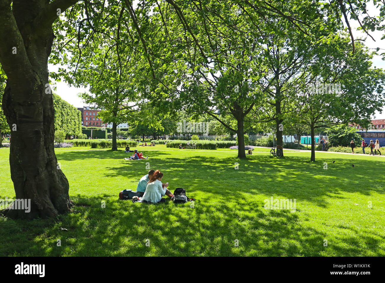 Copenhague, Danemark - 16 juin, 2019 Très belle vue sur le jardin du roi près de Rosenborg Castle dans le centre de Copenhague établi depuis début 17t Banque D'Images