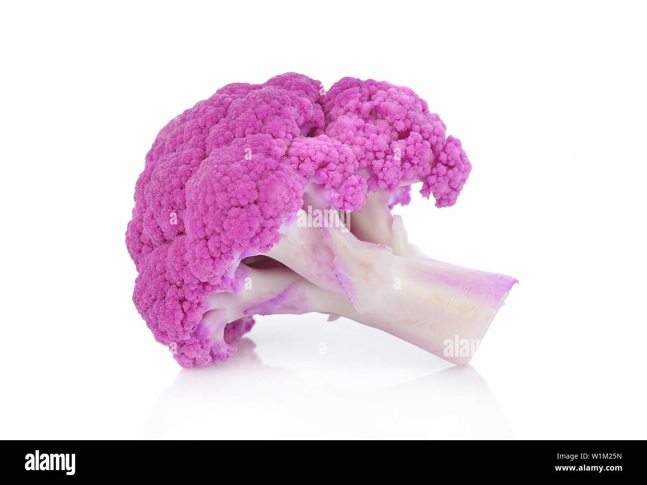 Purple brassica oleracea isolé sur fond blanc Banque D'Images