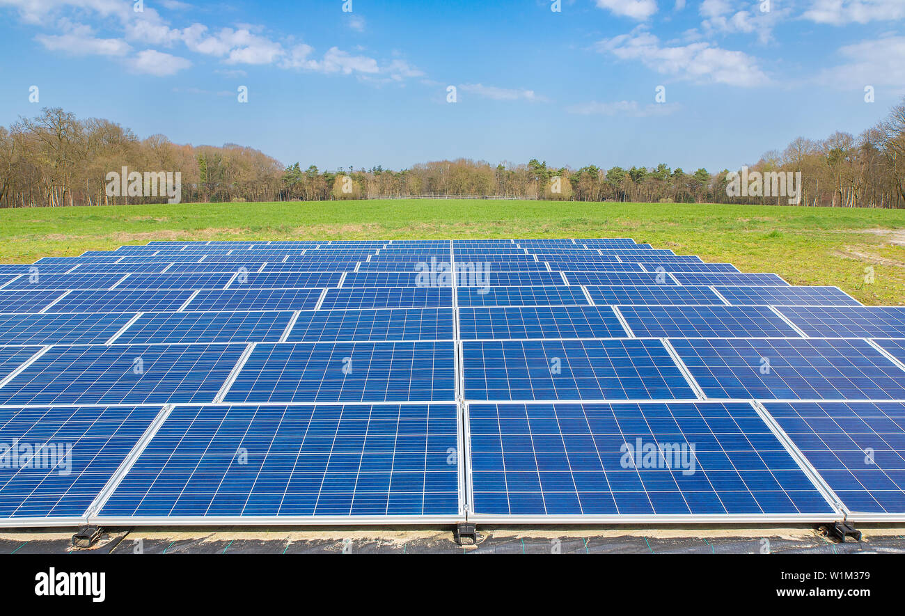 Paysage avec des panneaux solaires bleu domaine aux Pays-Bas Banque D'Images