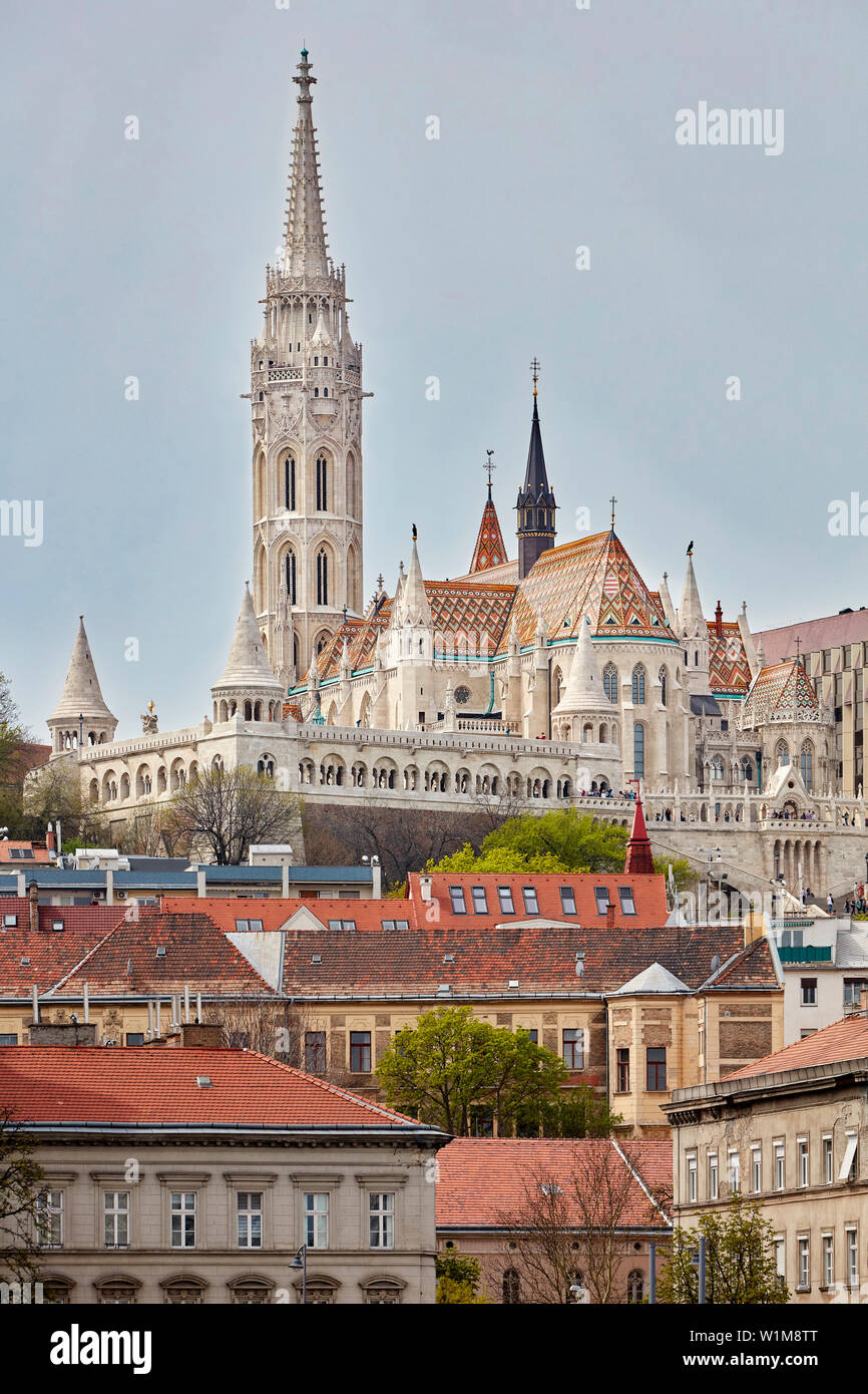 L'église Matthias, Budapest, Hongrie Banque D'Images