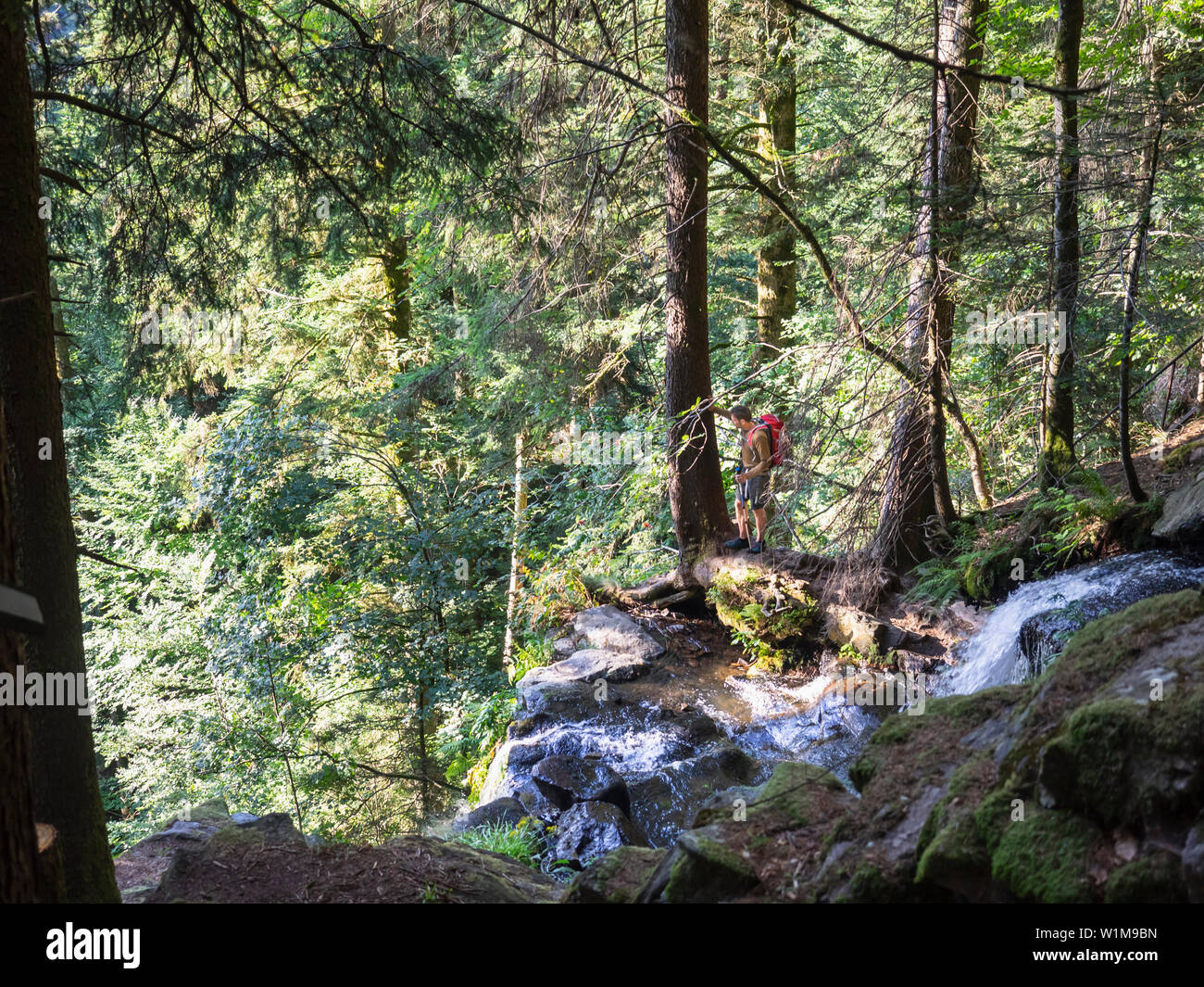 Male hiker par flux en Forêt Noire, Allemagne, Baden-Württemerg Banque D'Images