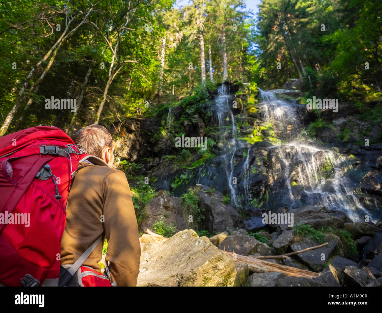 Male hiker admirant une cascade dans la Forêt Noire, Baden-Württemerg, Allemagne Banque D'Images