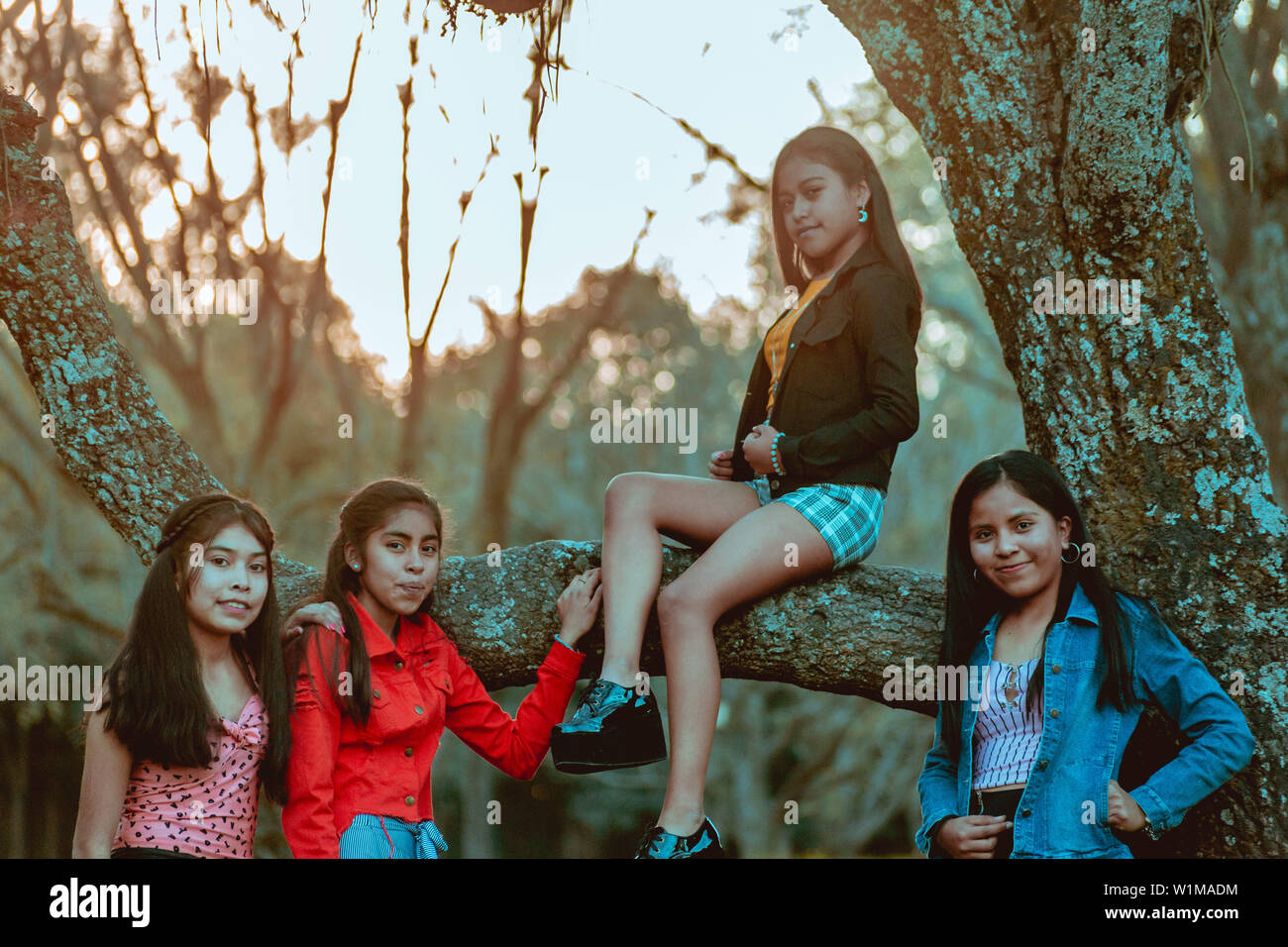 Les filles jouant dans park Banque D'Images