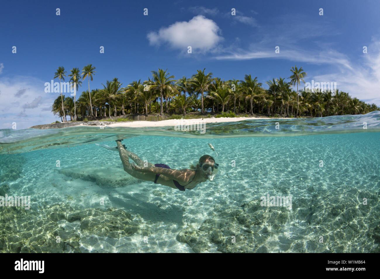 Plongée avec tuba au large de l'île bordée de palmiers, Fadol, Kai, îles Moluques, Indonésie Banque D'Images