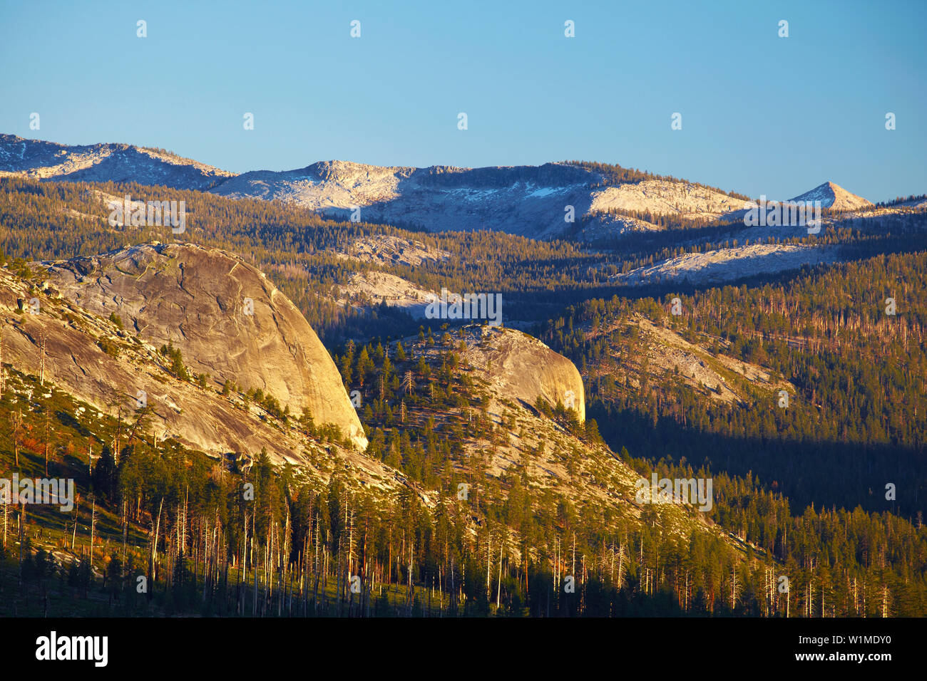 Vue du Glacier Point à haute Sierra , Yosemite National Park , Sierra Nevada , Californie , Etats-Unis , Amérique Banque D'Images