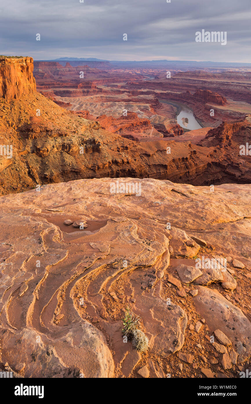 Dead Horse Point, Colorado River, Dead Horse Point State Park, Canyonlands National Park, Utah, USA Banque D'Images