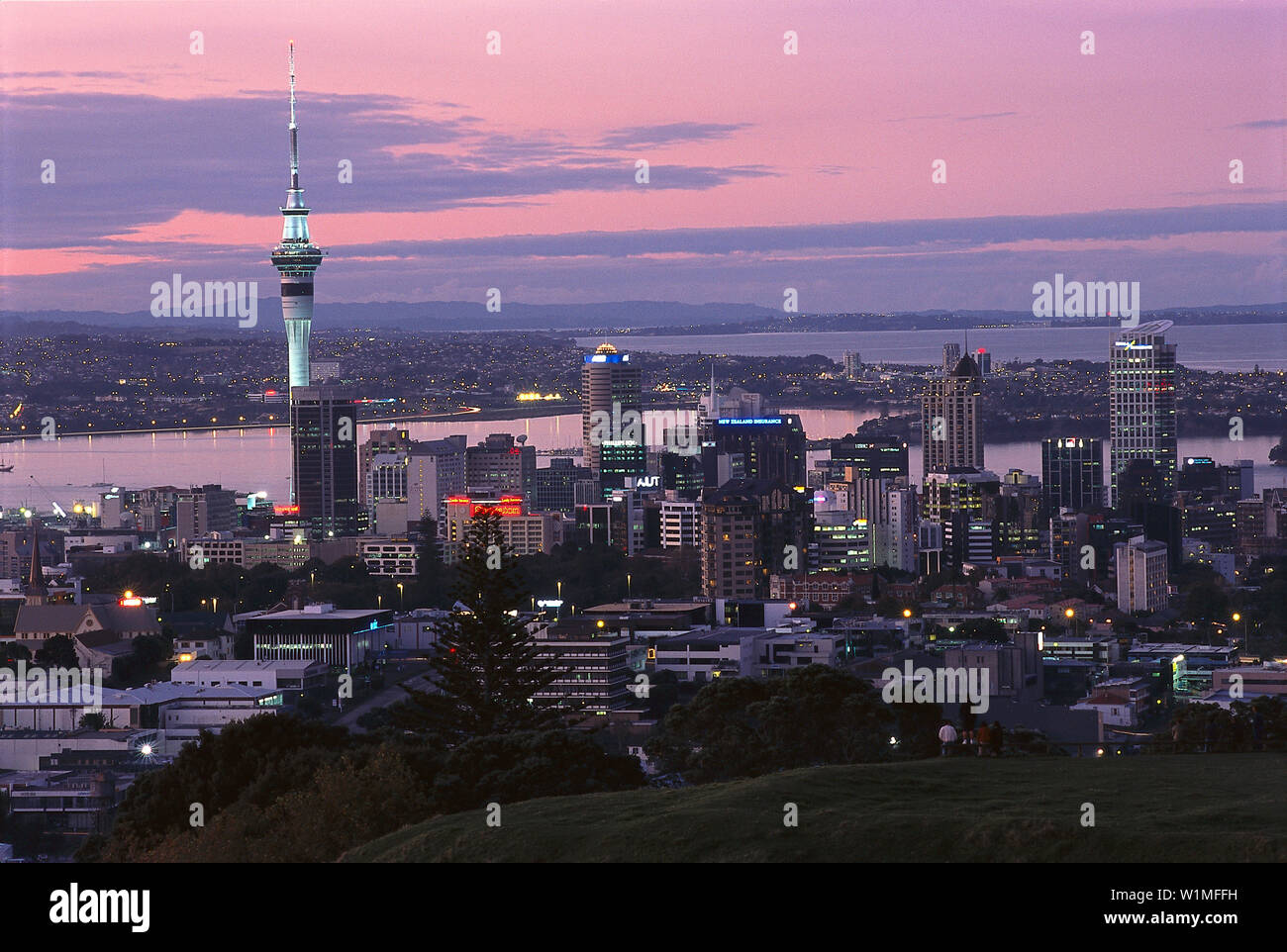 Sky Tower & Skyline at Dusk, vue de Mt. Eden Auckland, Nouvelle-Zélande Banque D'Images