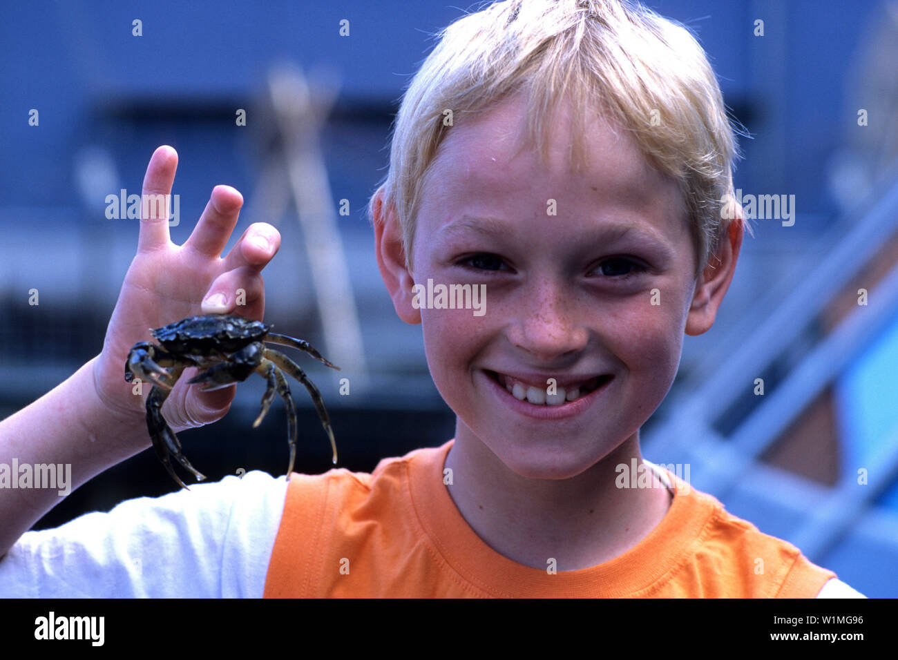 Boy Holding Crab, Fjord & Balt Centre, Kerteminde, Danemark, Funen Banque D'Images