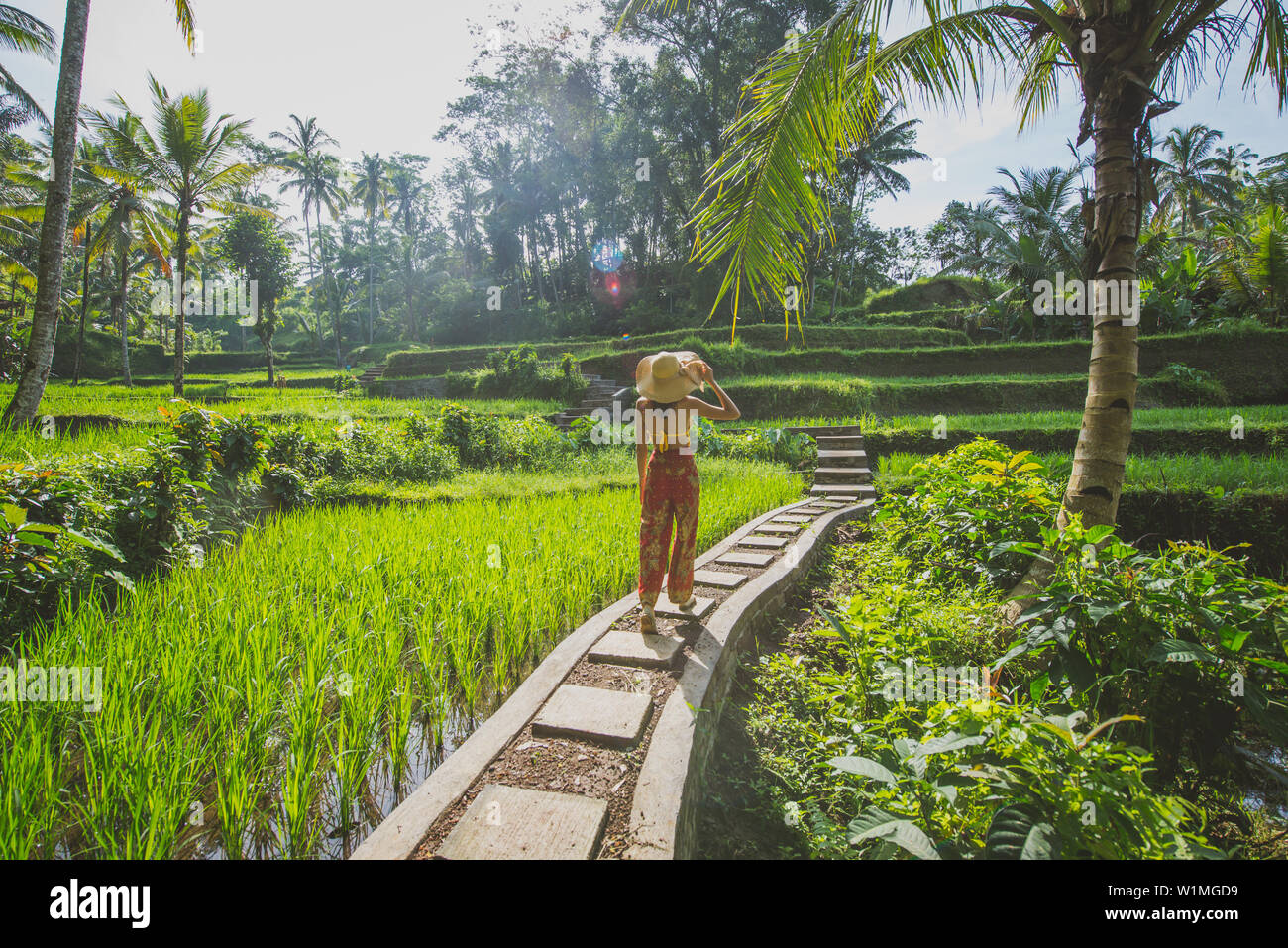 Belle fille visiter les rizières de Bali, ubud à tegalalang. Concept à  propos de personnes, de déplacement et de vie tourisme wanderlust Photo  Stock - Alamy