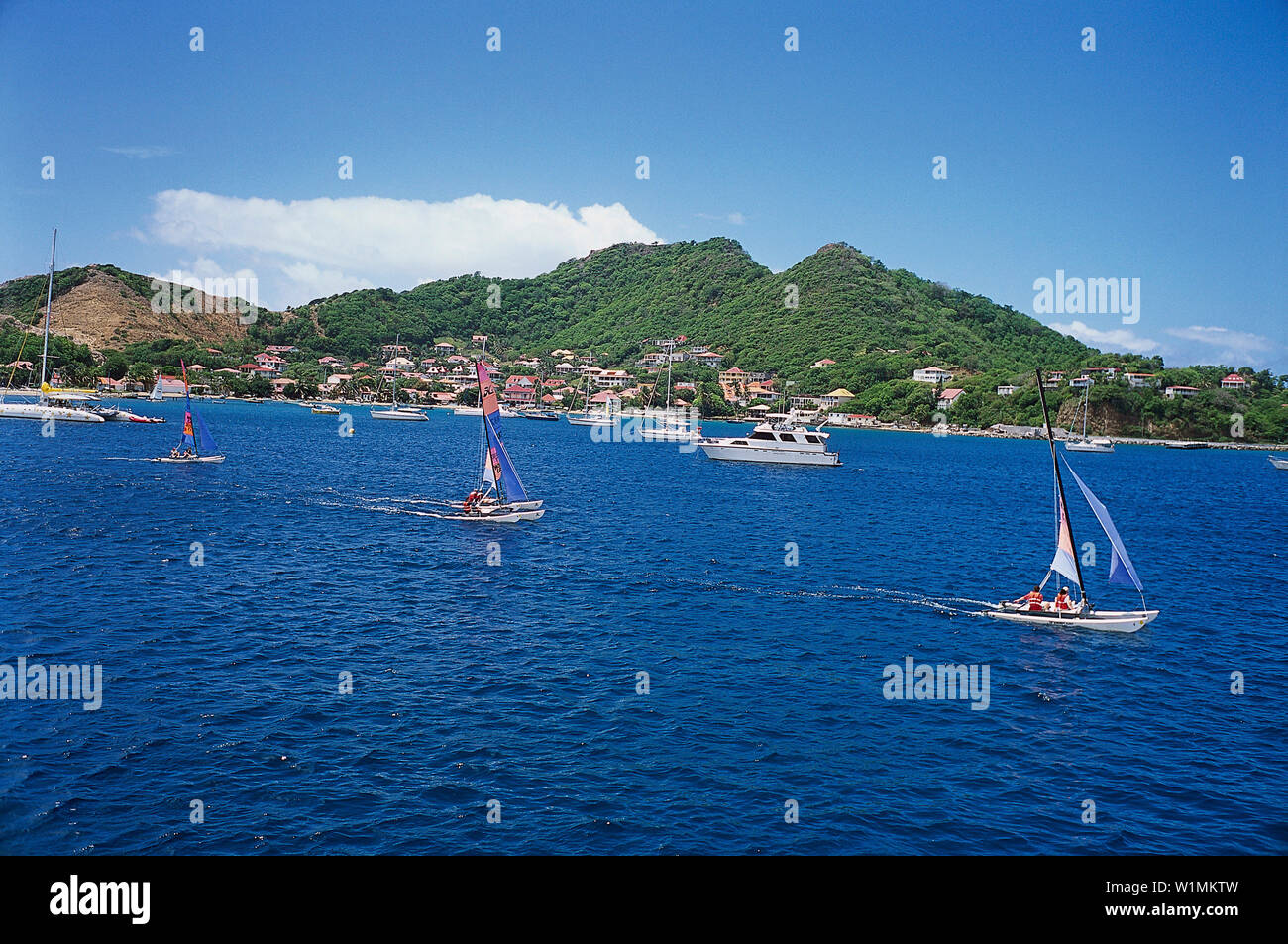 Régate Hobie, Terre-de-Haut, Iles des Saintes Guadeloupe, Caraïbes Banque D'Images