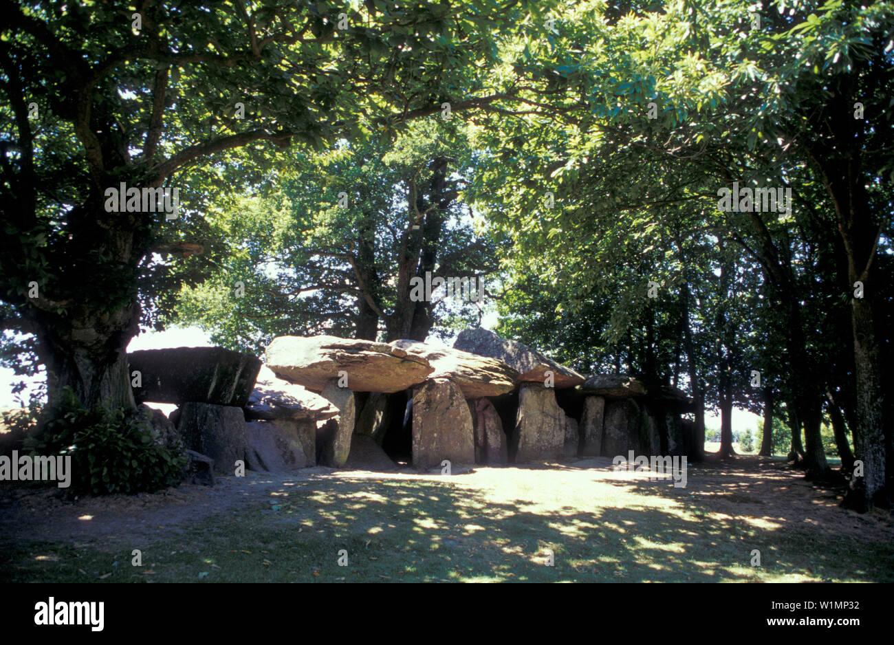 La Roche aux Fées, près de Vitré, Bretagne, France, Europe Banque D'Images