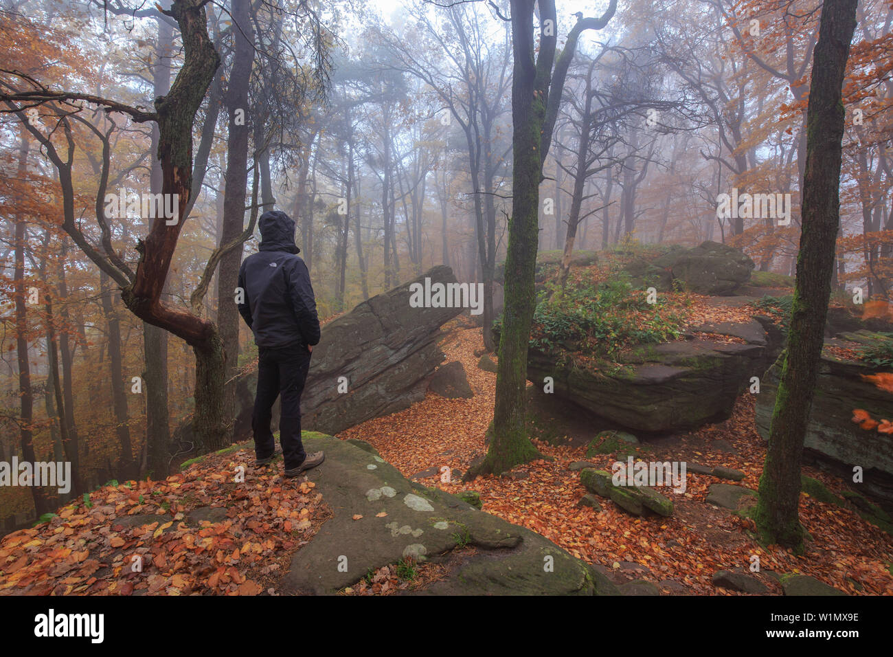 Kalmit en automne, un randonneur à des roches, de la Forêt du Palatinat, Rhénanie-Palatinat, Allemagne Banque D'Images